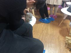 -李小姐の猫咖啡馆(五角场店)