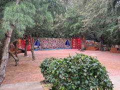 -北海金海湾红树林生态旅游区