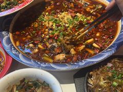 -新概念来凤鱼(璧山店)