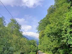 -朱雀国家森林公园