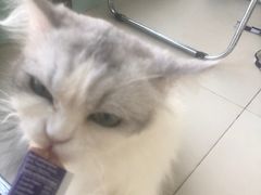 -怪兽屋·羊驼·猫咖·狗咖(俊华广场店)