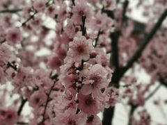 -堤角公园