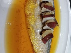 招牌酒酿蒸鲥鱼-海逸海鲜酒家(古北店)