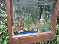 -厦门日月谷温泉渡假村