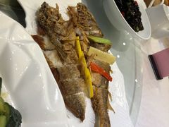东海小黄鱼-骏莱海鲜鱼港(五角场店)