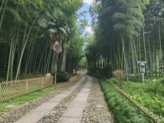-黄公望隐居地