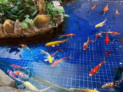 -鸿通城购物中心