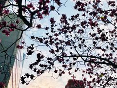 -上海来福士广场