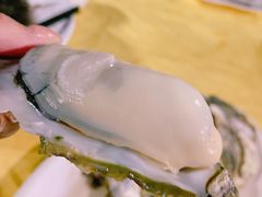 台山川岛大生蚝-台山新孖宝柴火黄鳝饭(三合温泉店)