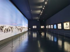 -罗红摄影艺术馆