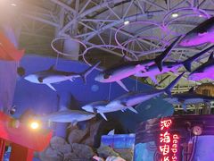-烟台海昌鲸鲨海洋公园