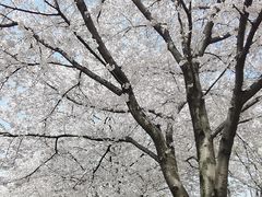 -石湖景区