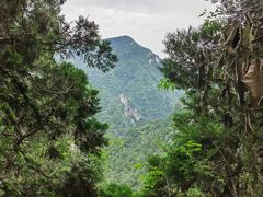 -北京上方山国家森林公园