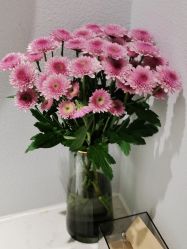 -VME薇蜜美肤抗衰中心