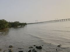 -宝安西湾红树林湿地公园