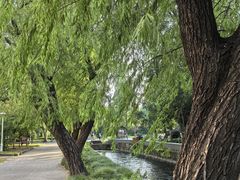 -同济大学四平路校区游泳馆