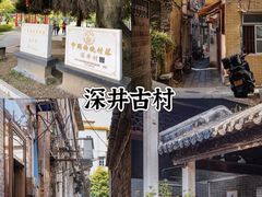 -长洲岛