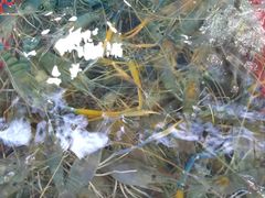 -清水湾3号(东方小周海鲜店)