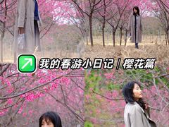 -天适樱花悠乐园