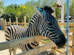 -水上乐园·欢乐世界