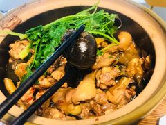 田螺-食爺炭炉鸡煲·烧烤