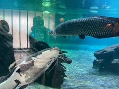 -华夏文旅海洋公园