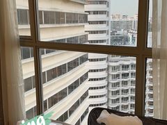 -新加坡富丽华河畔大酒店(SG Clean)