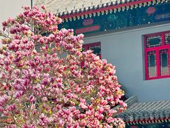 -天津大悲禅院