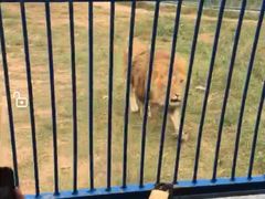 -鄂尔多斯野生动物园