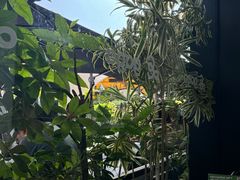 -gaga(深圳南山益田假日广场店)