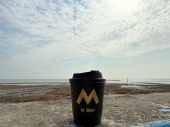 -南汇嘴观海公园