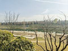 -洨河生态公园