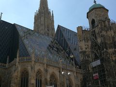 -斯蒂芬主教座堂(Stephansdom)