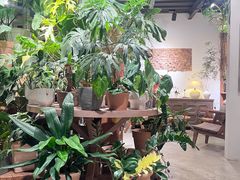 -自由生长植物工作室(深港花卉中心店)
