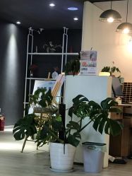 -静园瑜伽