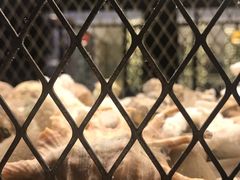 -大碗厨 25年老字号 现炒湘菜(四季天地店)