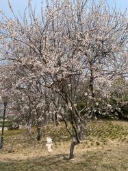 -大望京儿童游乐场