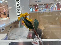 -永旺梦乐城(金银潭店)