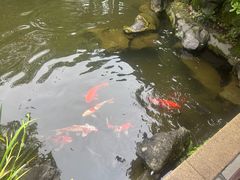 -杭州西子湖四季酒店-WL BISTRO西湖餐厅(灵隐路店)