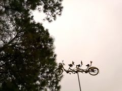 -合肥滨湖国家森林公园