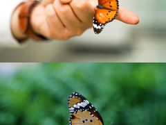 -北京国际鲜花港