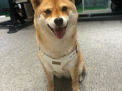 -mYSTEPS健身运动馆(古北店)