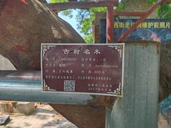 -大名府