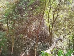 -古龙峡云天玻霸