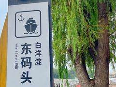 -白洋淀景区