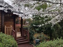 -云幽谷旅游区