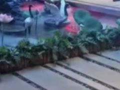 -陆琴脚艺·足浴·SPA(夫子庙店)