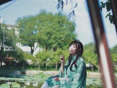 -茯茶镇