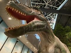 -湖南省地质博物馆