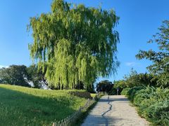 -北京西山国家森林公园